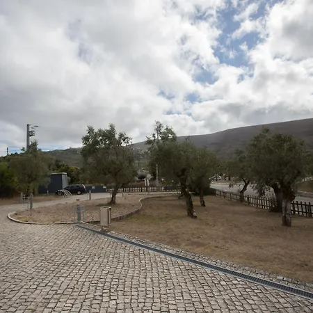 Hi - De Juventude بيت شباب *